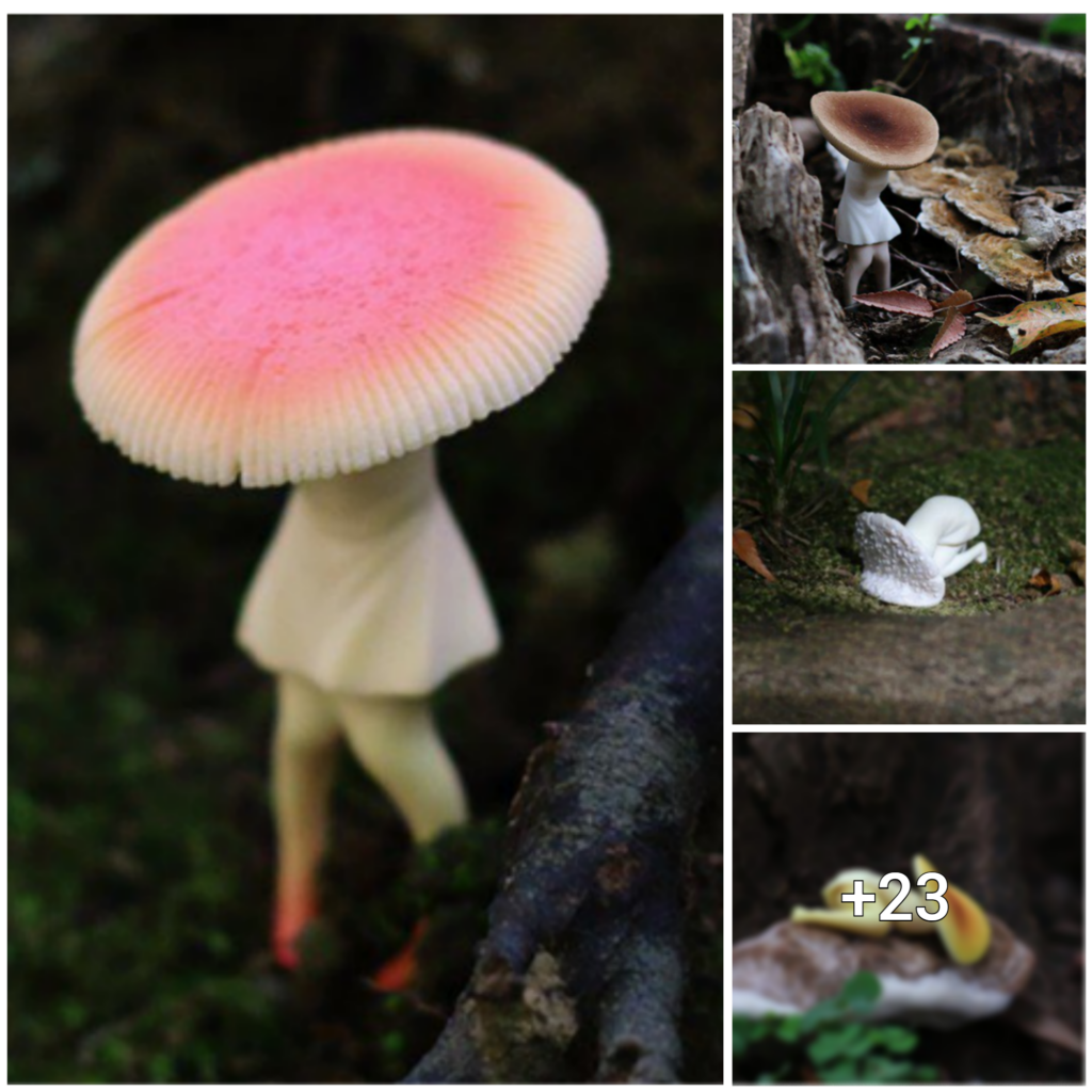 “Astonishing Discovery: Unusual Organi-Fungi Resembling a Human Form Leaves Experts Perplexed”