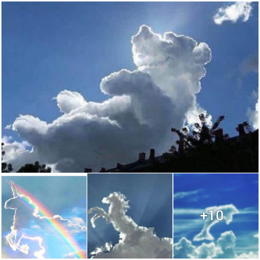 Sky Canvas: Revealing the Majestic Masterpieces of Clouds